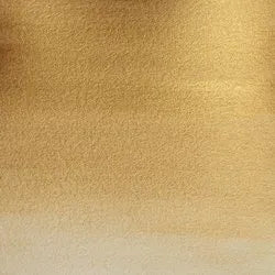 Winsor & Newton Cotmans