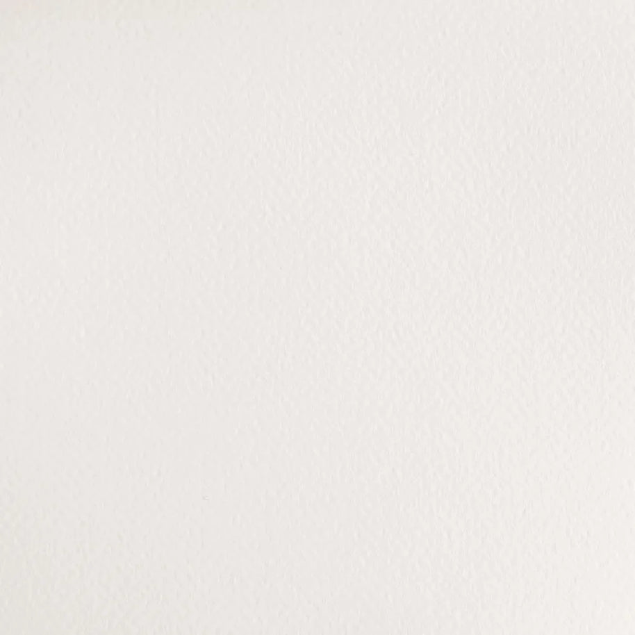 Winsor & Newton Cotmans