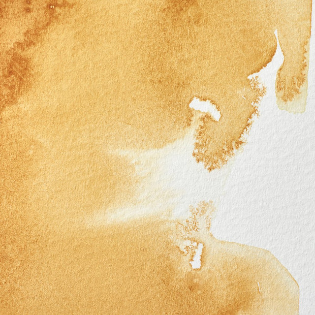 Winsor & Newton Professional Watercolour