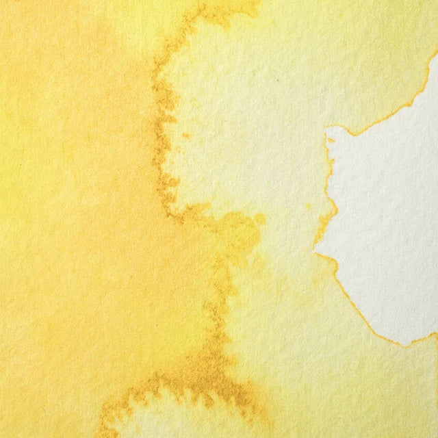 Winsor & Newton Professional Watercolour