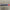 Derwent Inktense Pencils
