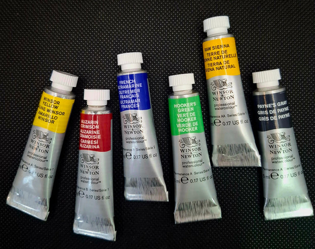 Winsor & Newton Professional Watercolour Tube Set- Foundation Colours Tube Set