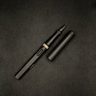 Lamy Safari Fountain Pen