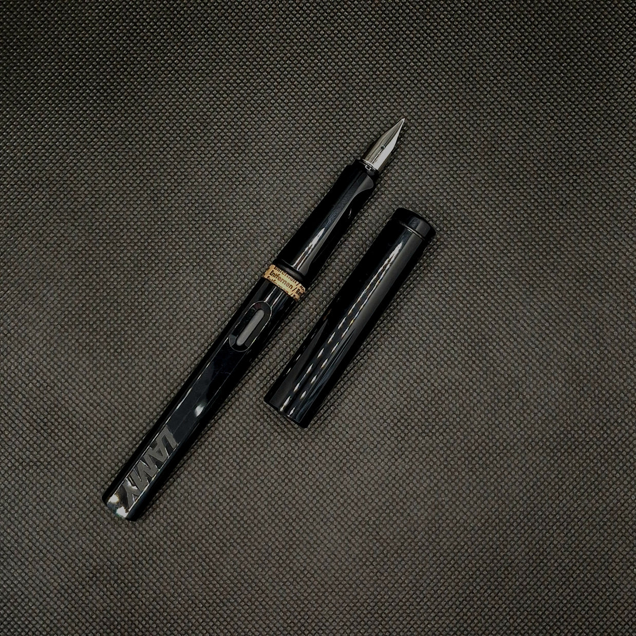 Lamy Safari Fountain Pen