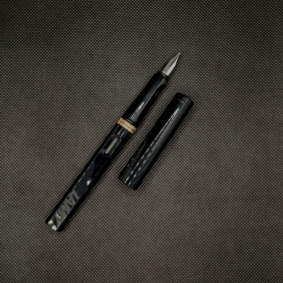 Lamy Safari Fountain Pen