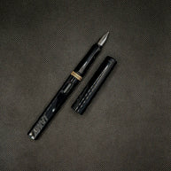 Lamy Safari Fountain Pen