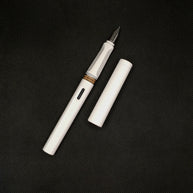Lamy Safari Fountain Pen