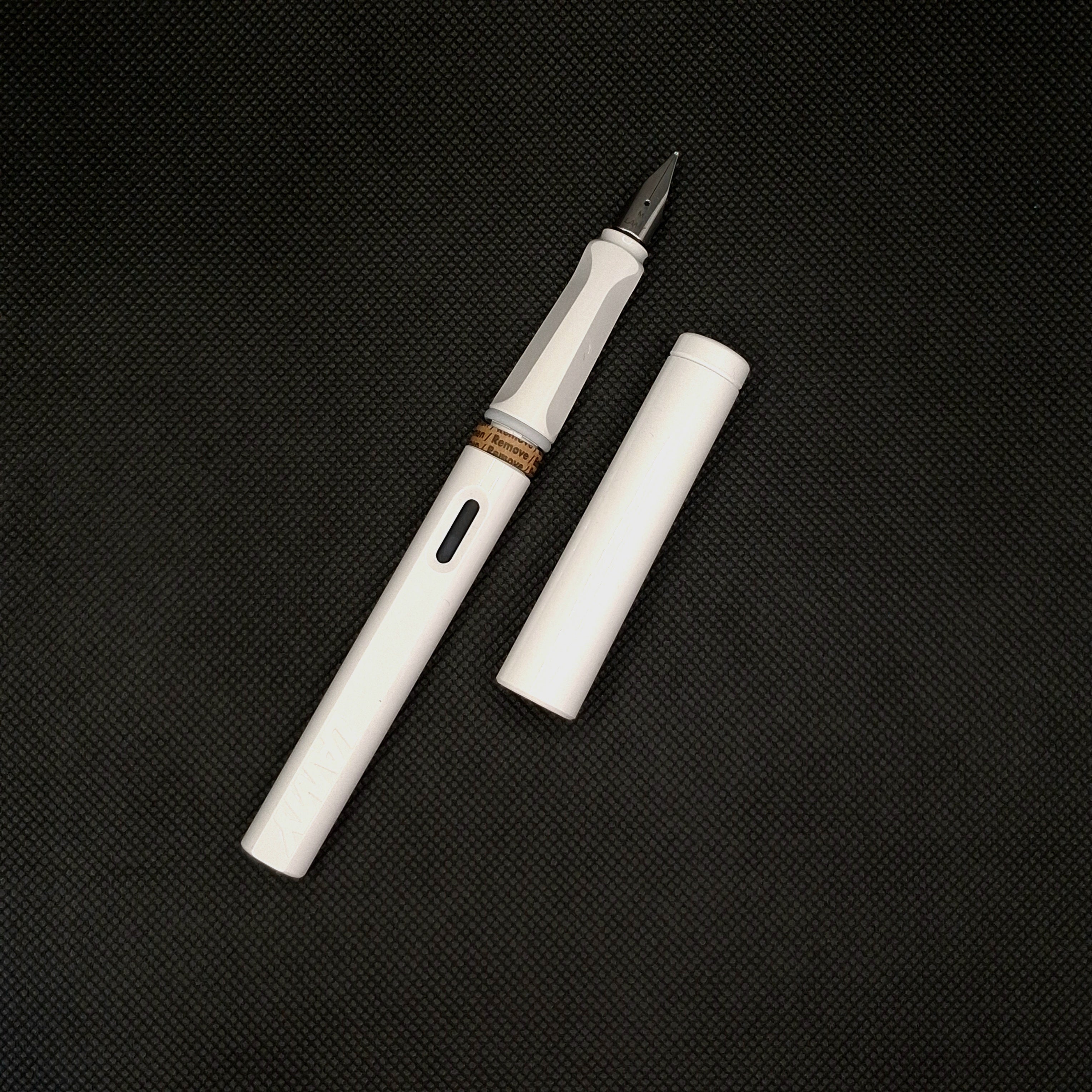 Lamy Safari Fountain Pen