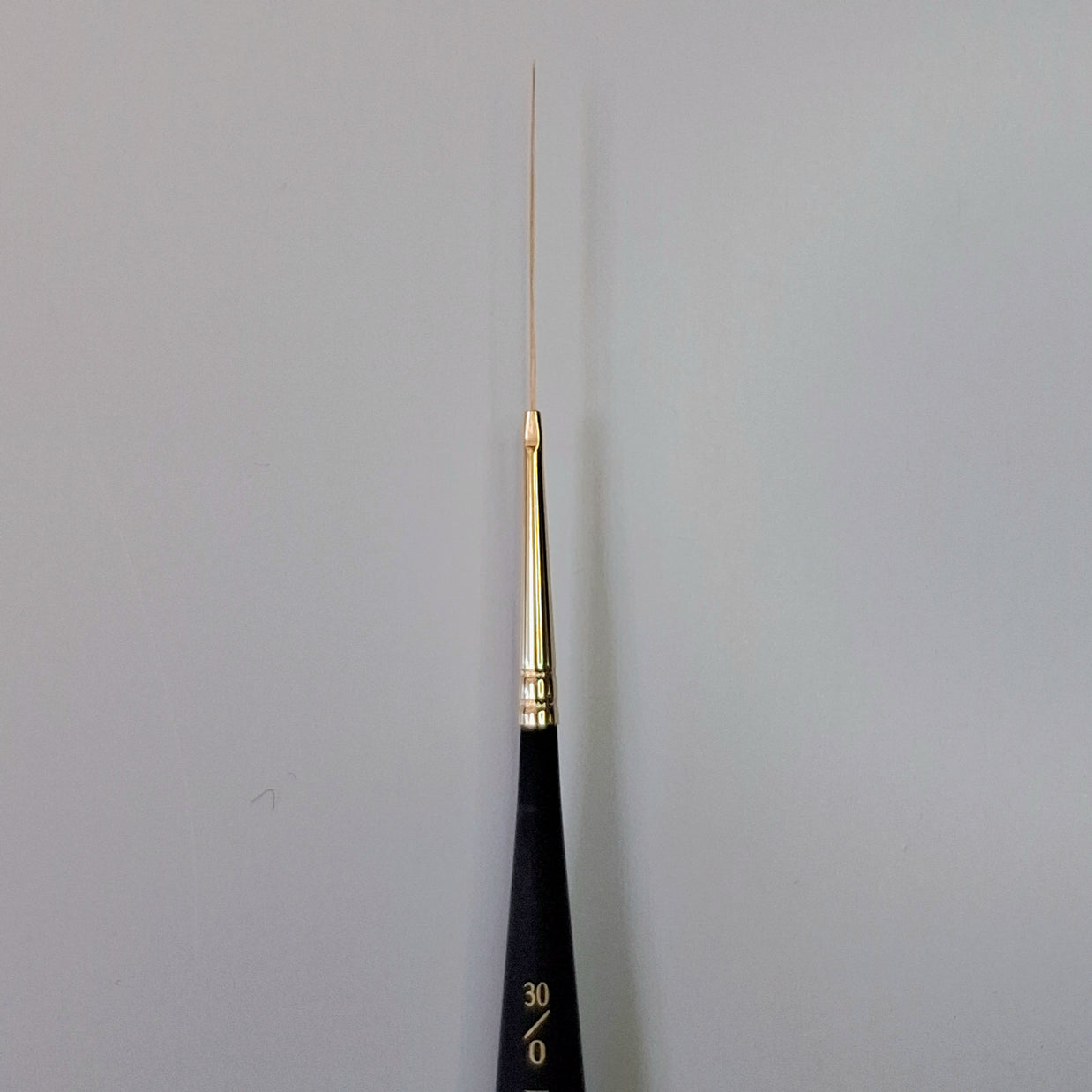 Princeton Mini-Detailer