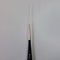 Princeton Mini-Detailer