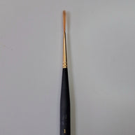 Princeton Mini-Detailer