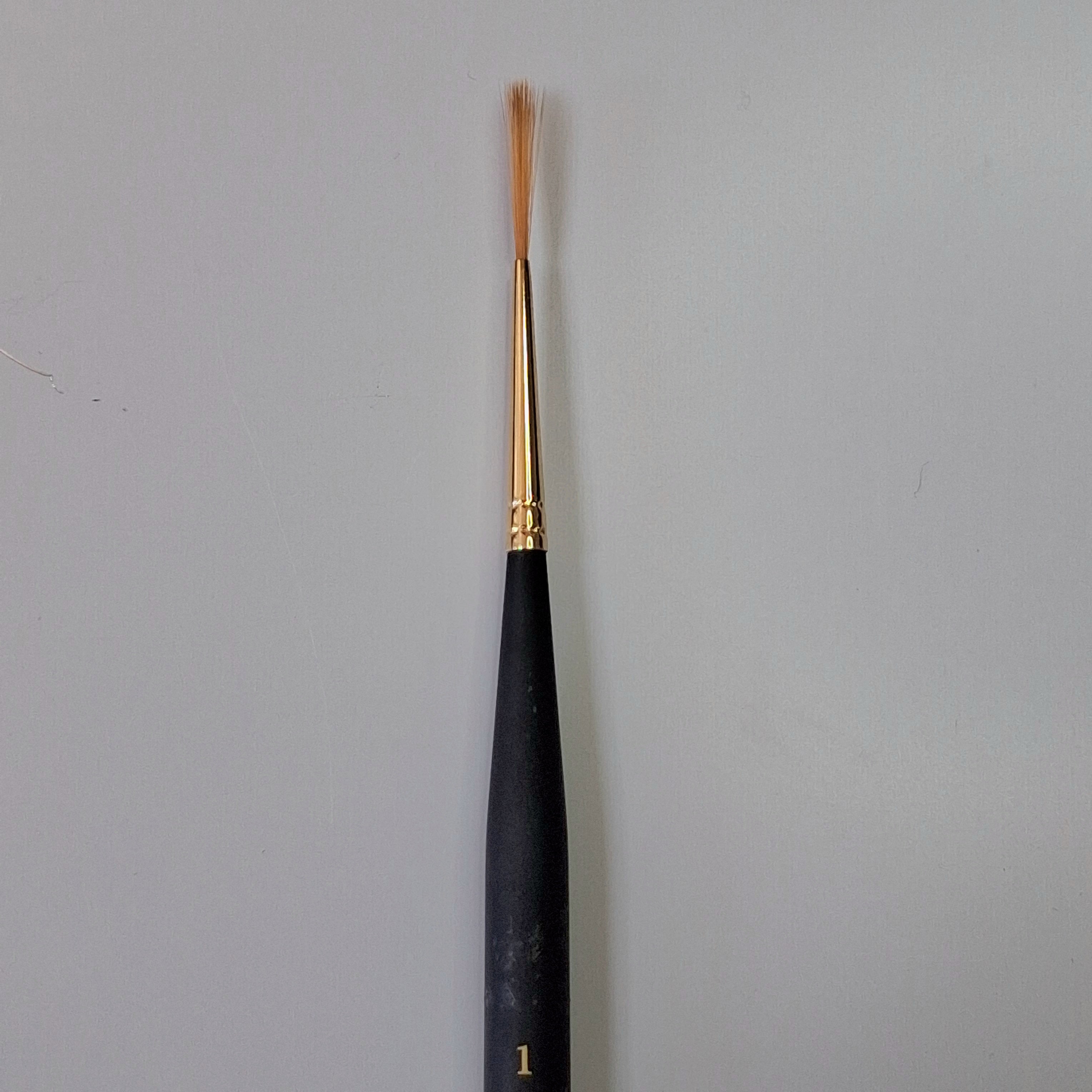 Princeton Mini-Detailer