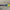 Derwent Inktense Pencils