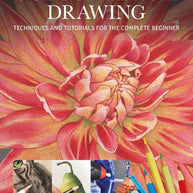Colour-Pencil Drawing: Techniques and Tutorials for the Complete Beginner (Art Techniques) cover image