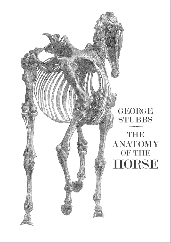 The Anatomy of the Horse cover image