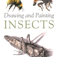 Drawing and Painting Insects cover image