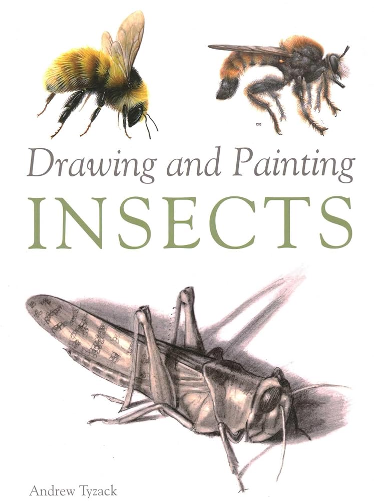 Drawing and Painting Insects cover image