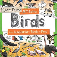 How to Draw Amazing Birds cover image