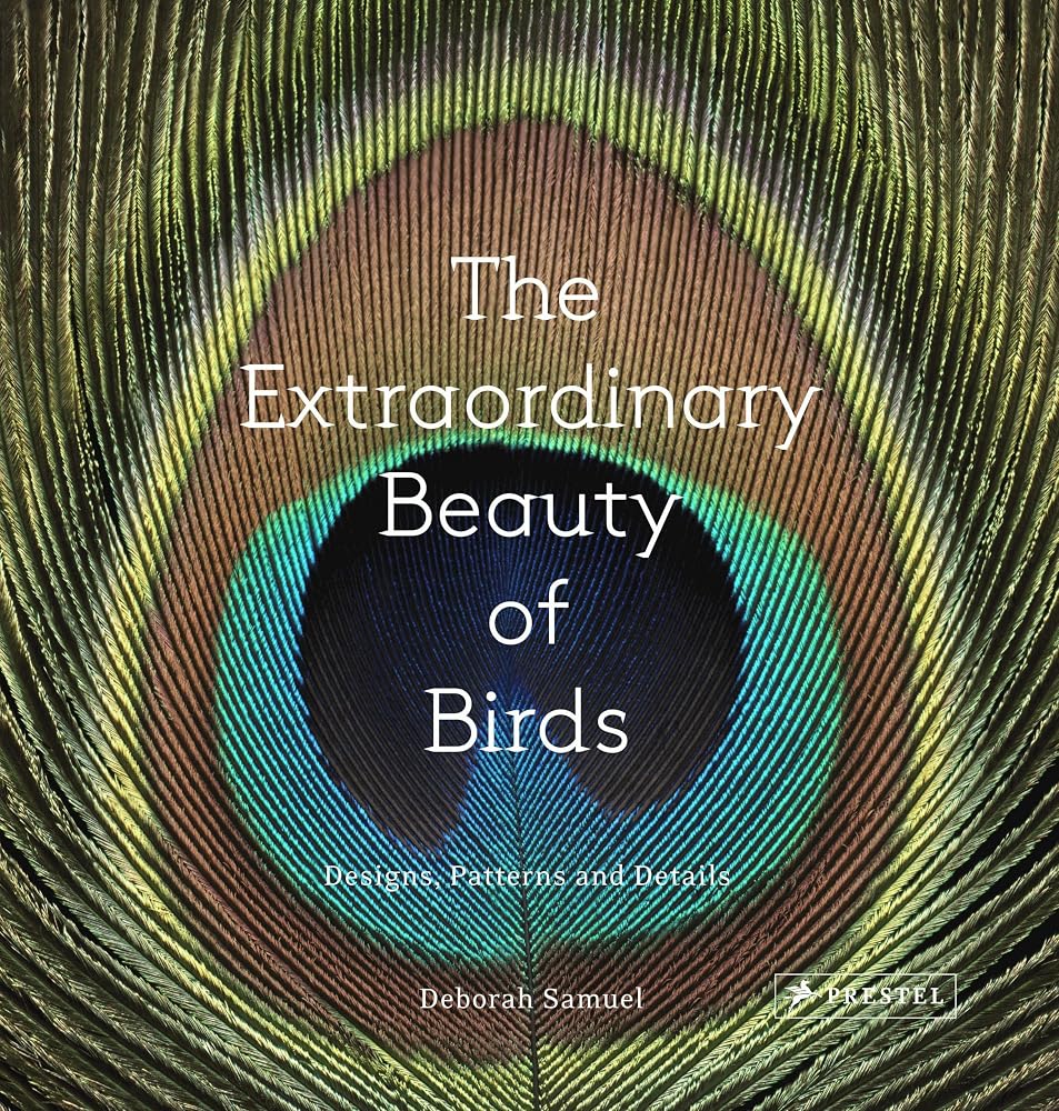 The Extraordinary Beauty of Birds: Designs, Patterns and Details cover image