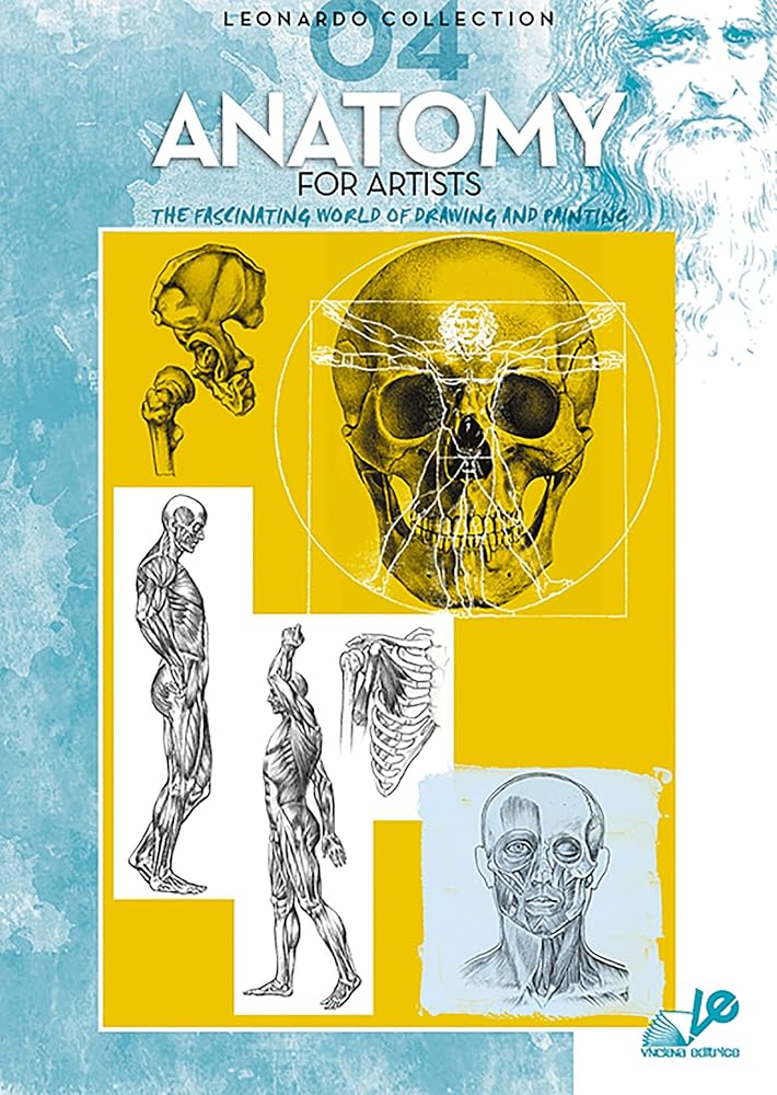 Let Us Paint - Anatomy for Artists, Anatomy for Artists, 1 pc cover image