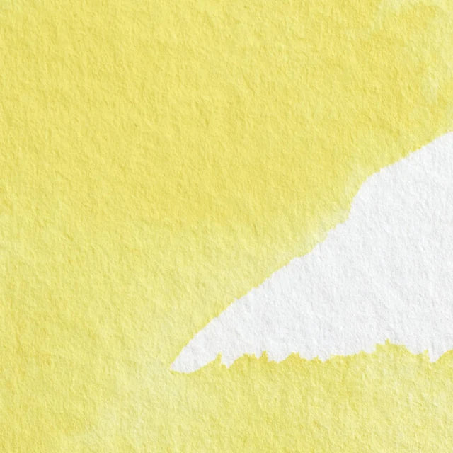 Winsor & Newton Professional Watercolour
