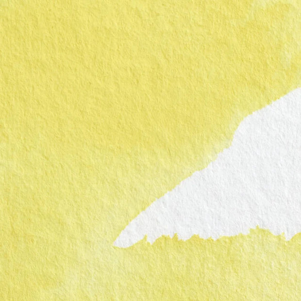 Winsor & Newton Professional Watercolour