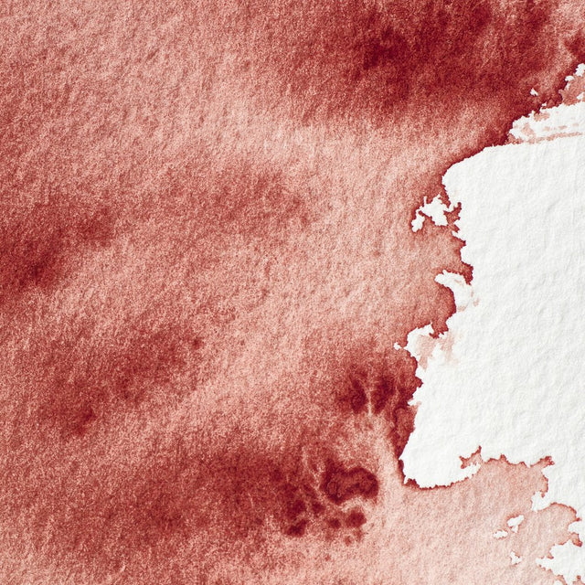 Winsor & Newton Professional Watercolour