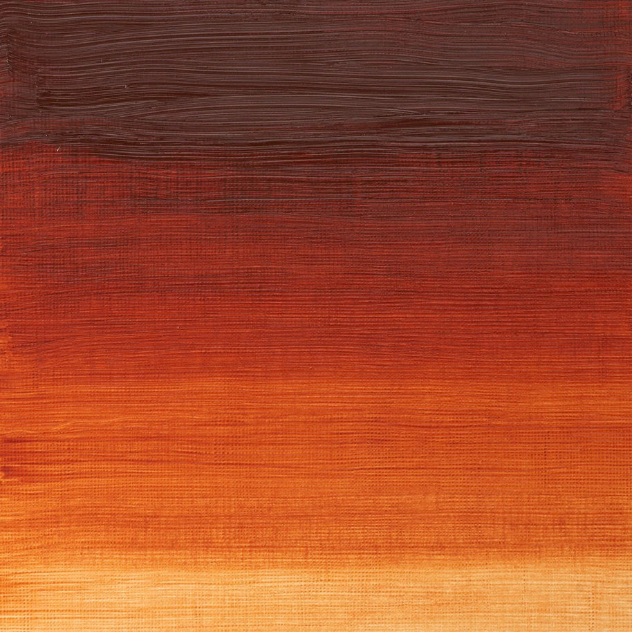 Winsor & Newton Winton Oil