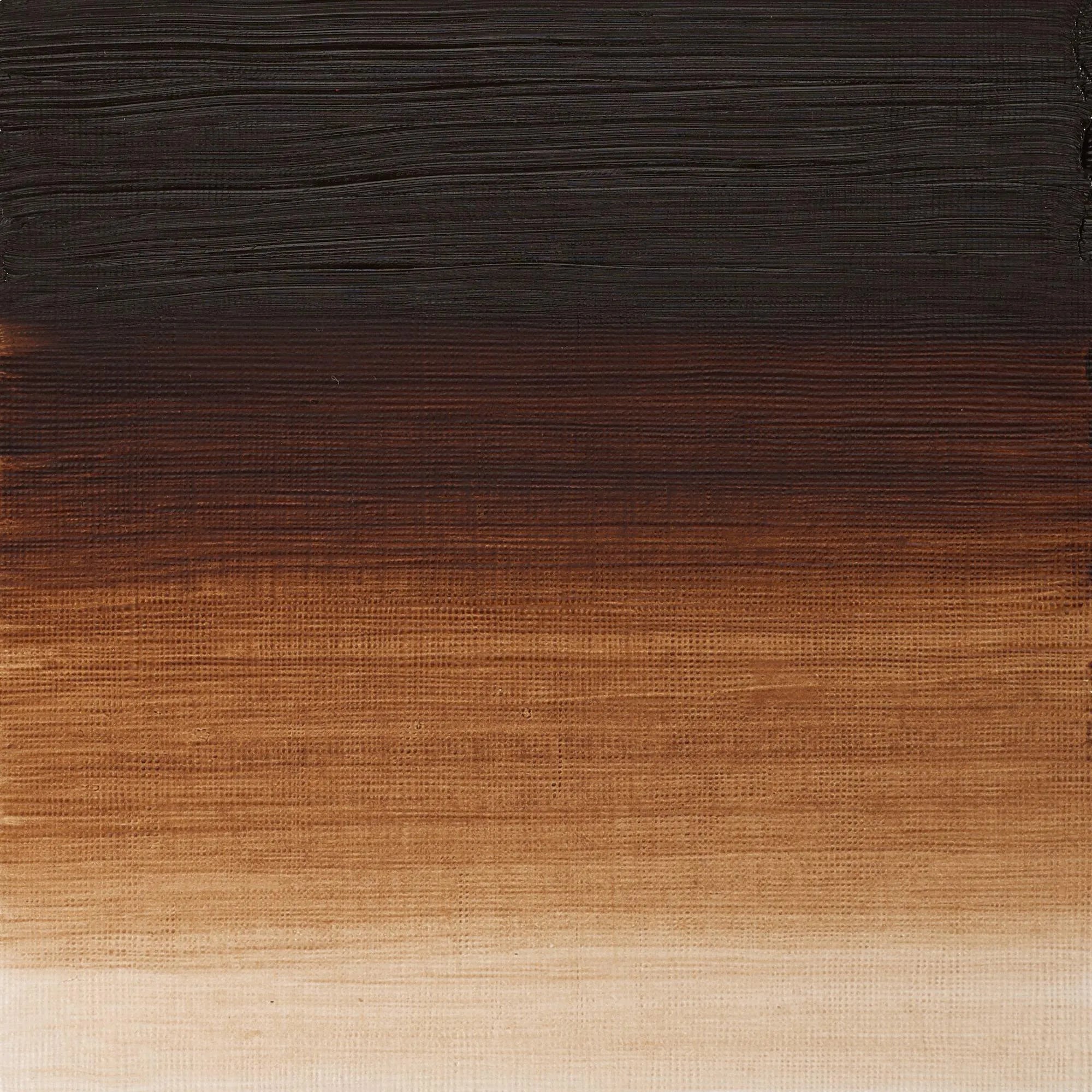 Winsor & Newton Artist's Oil