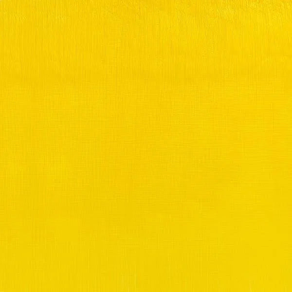 Winsor & Newton Artist's Oil