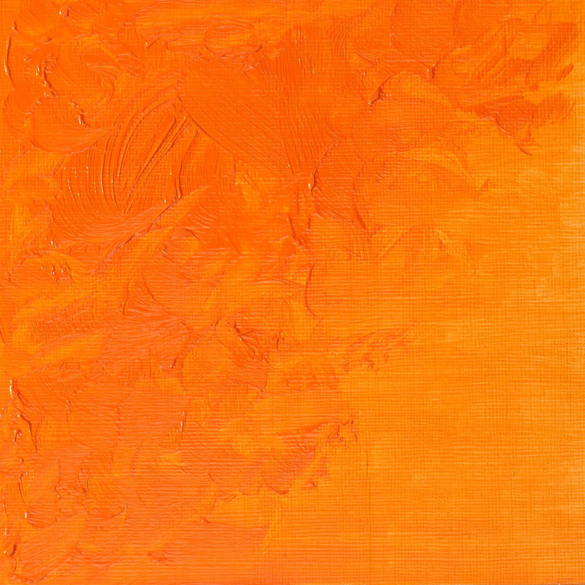 Winsor & Newton Winton Oil