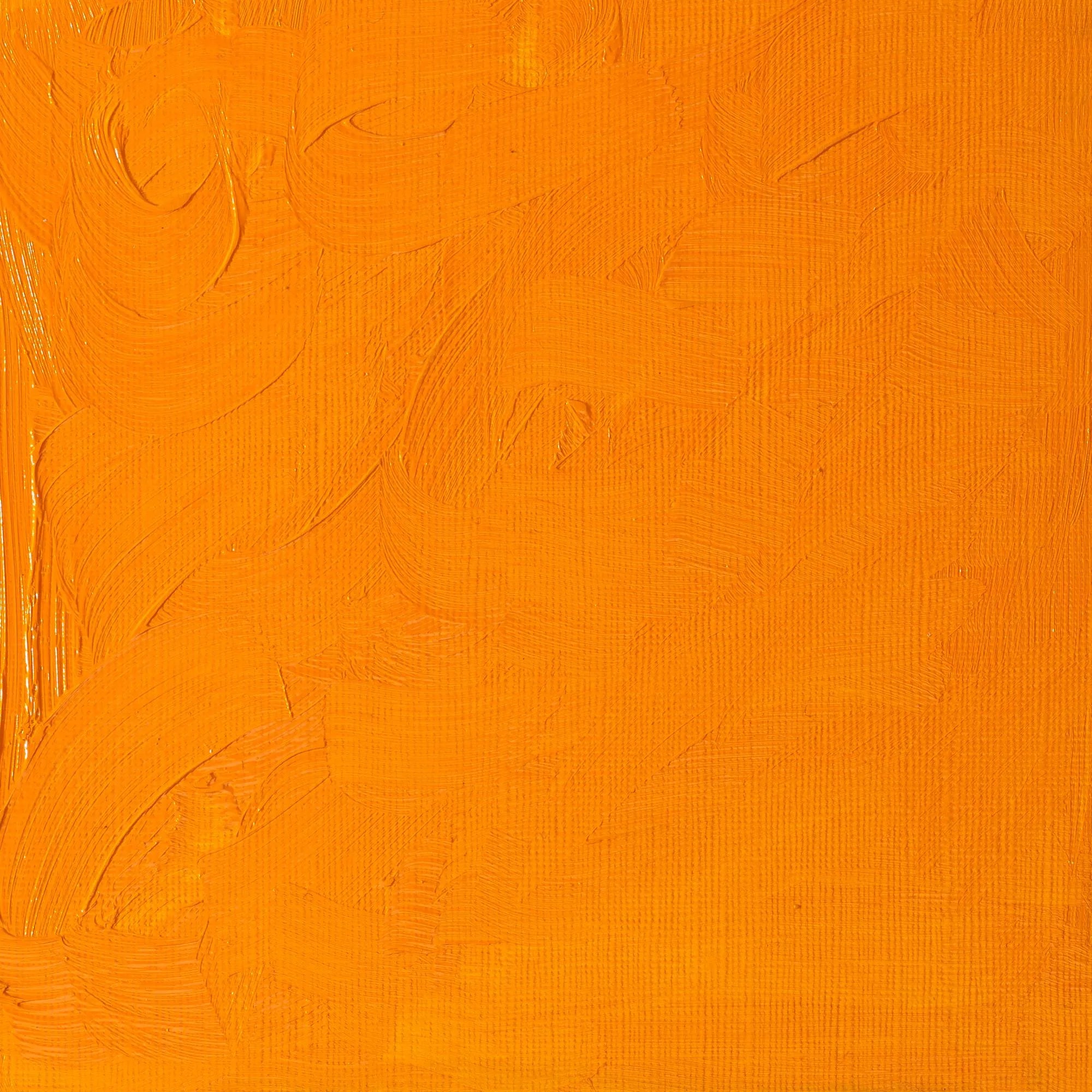 Winsor & Newton Winton Oil