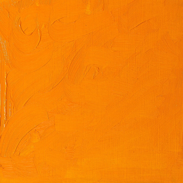 Winsor & Newton Winton Oil