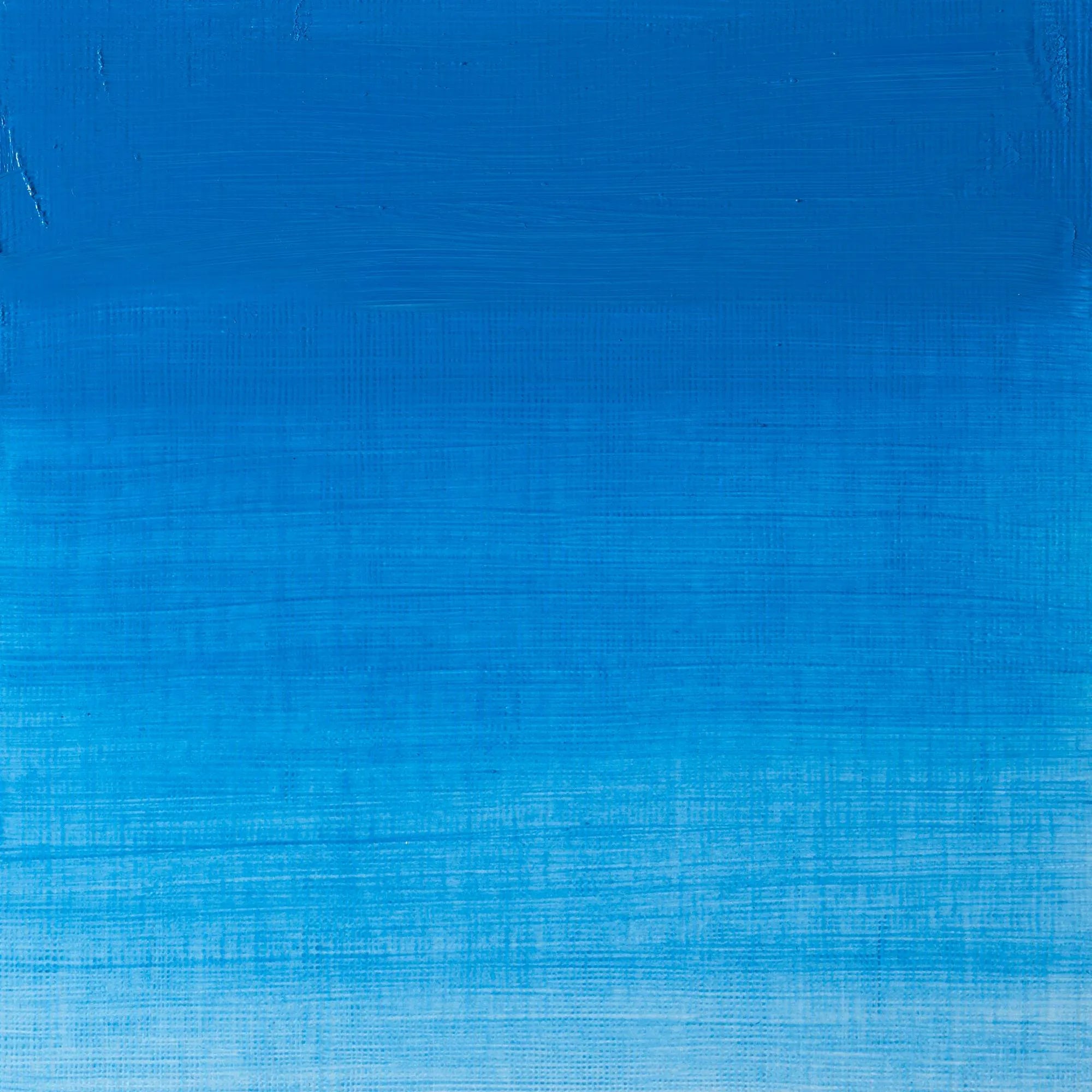 Winsor & Newton Winton Oil