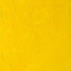 Winsor & Newton Winton Oil