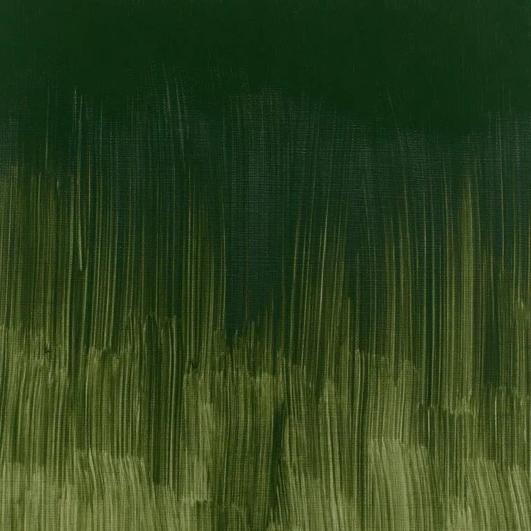 Winsor & Newton Winton Oil