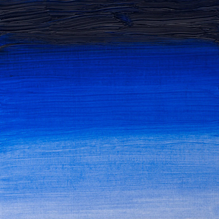 Winsor & Newton Artist's Oil