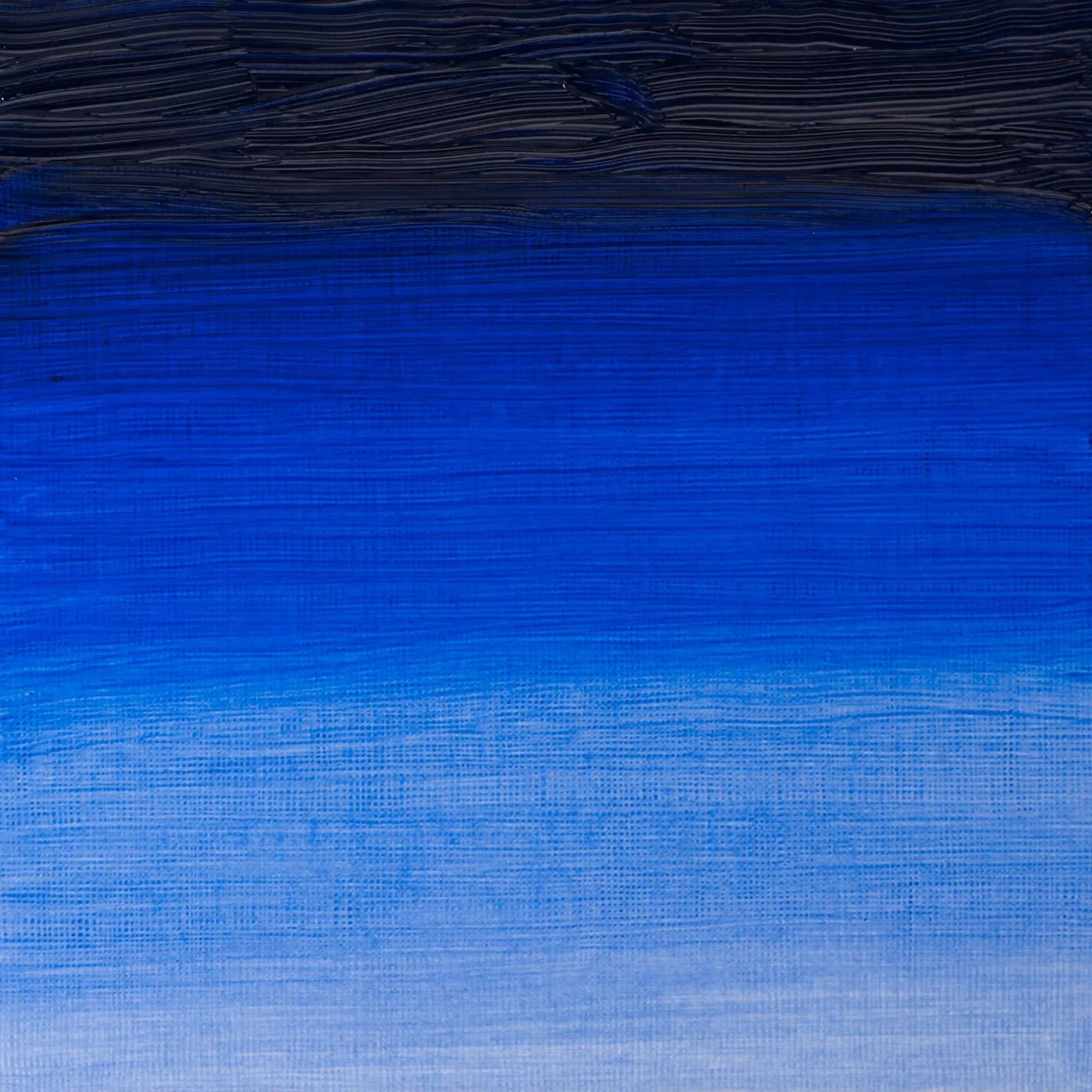 Winsor & Newton Artist's Oil