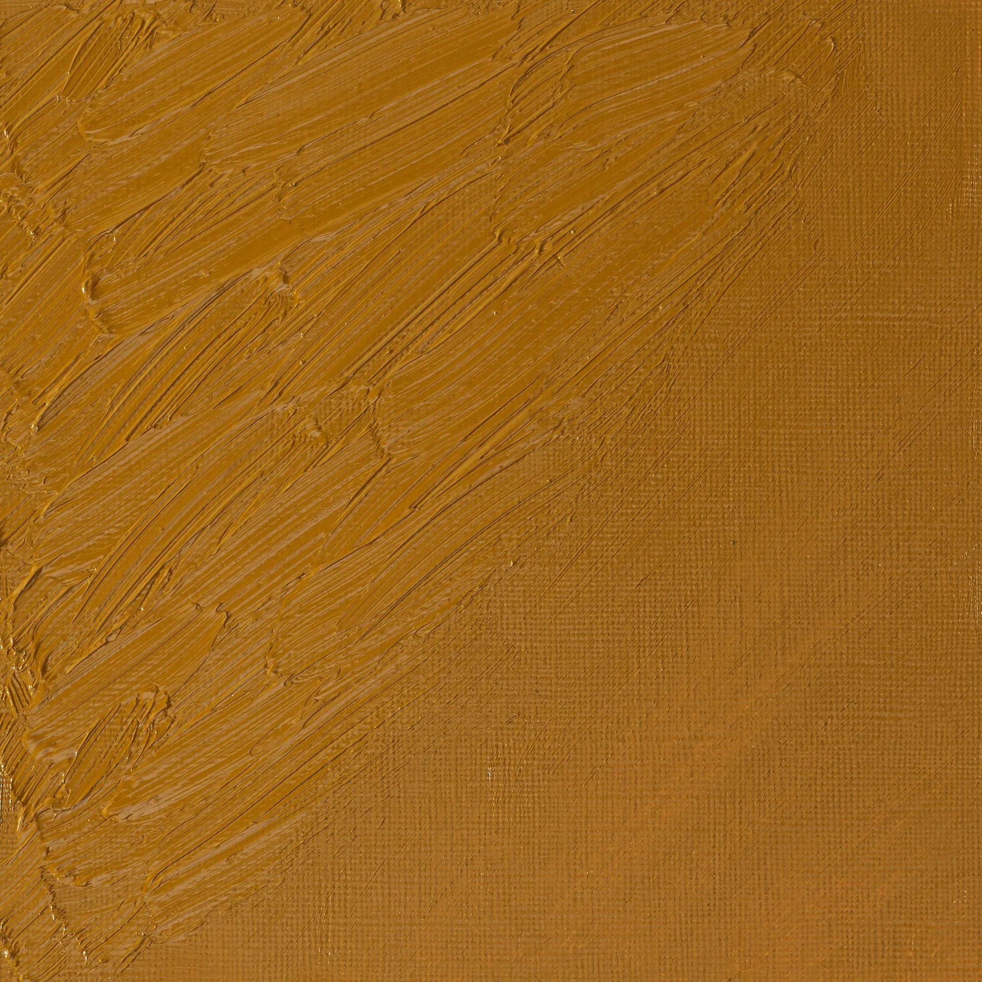 Winsor & Newton Artist's Oil