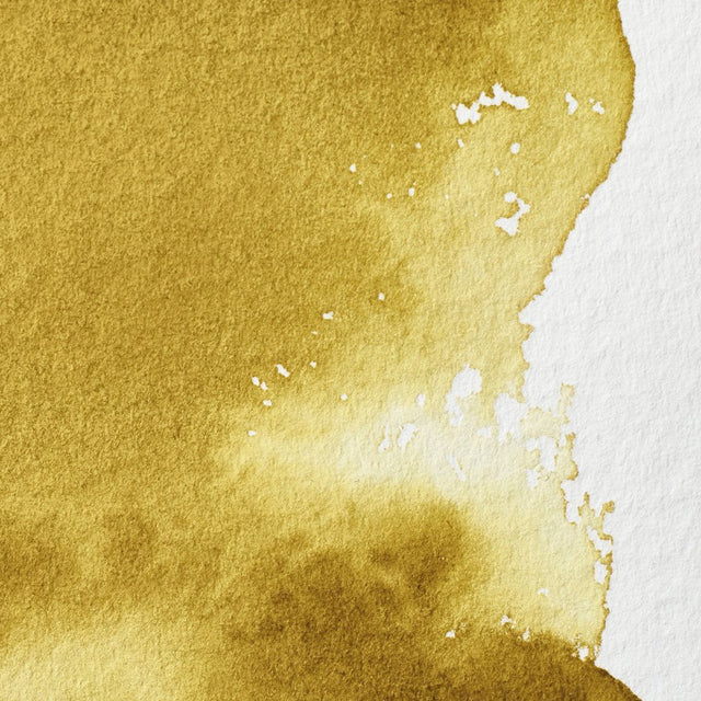 Winsor & Newton Professional Watercolour