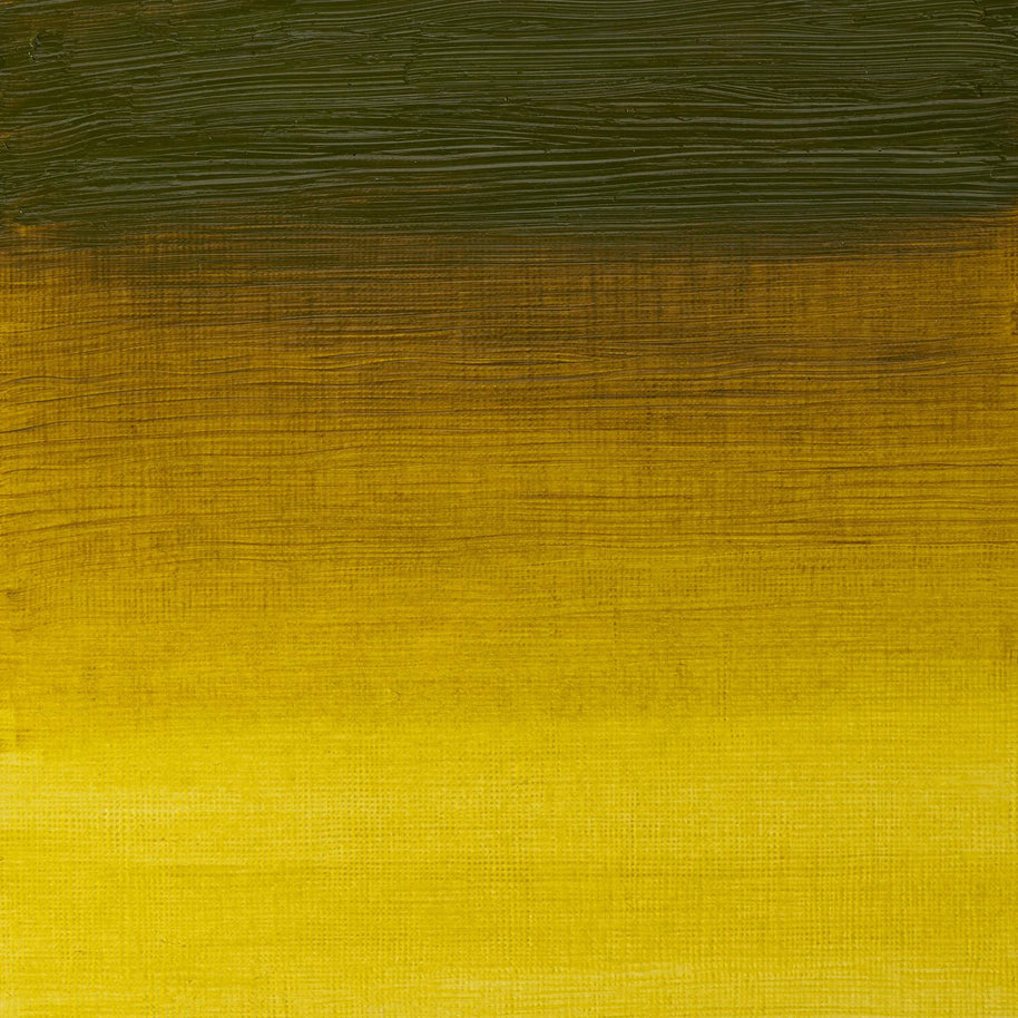 Winsor & Newton Artist's Oil