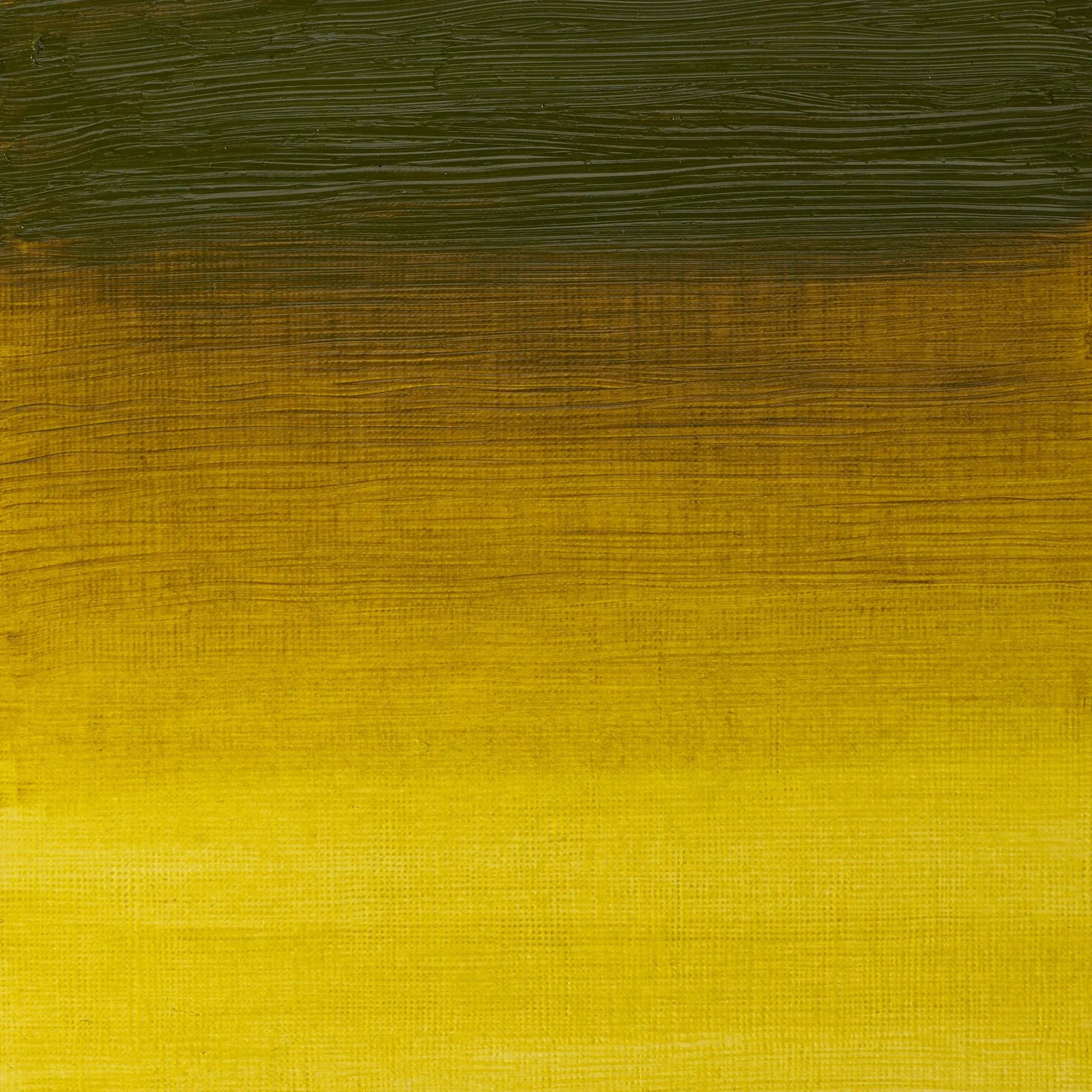 Winsor & Newton Artist's Oil