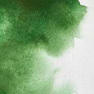Winsor & Newton Professional Watercolour