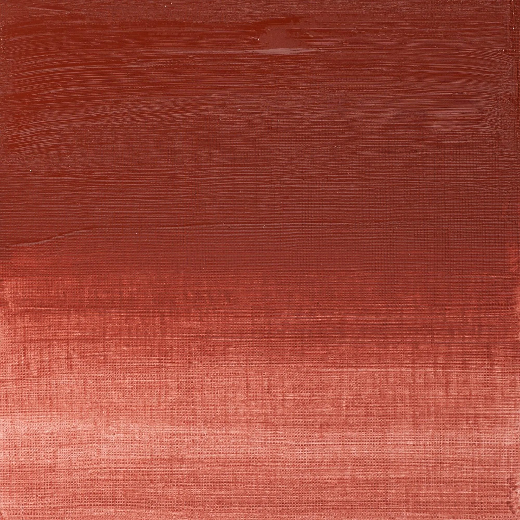 Winsor & Newton Winton Oil