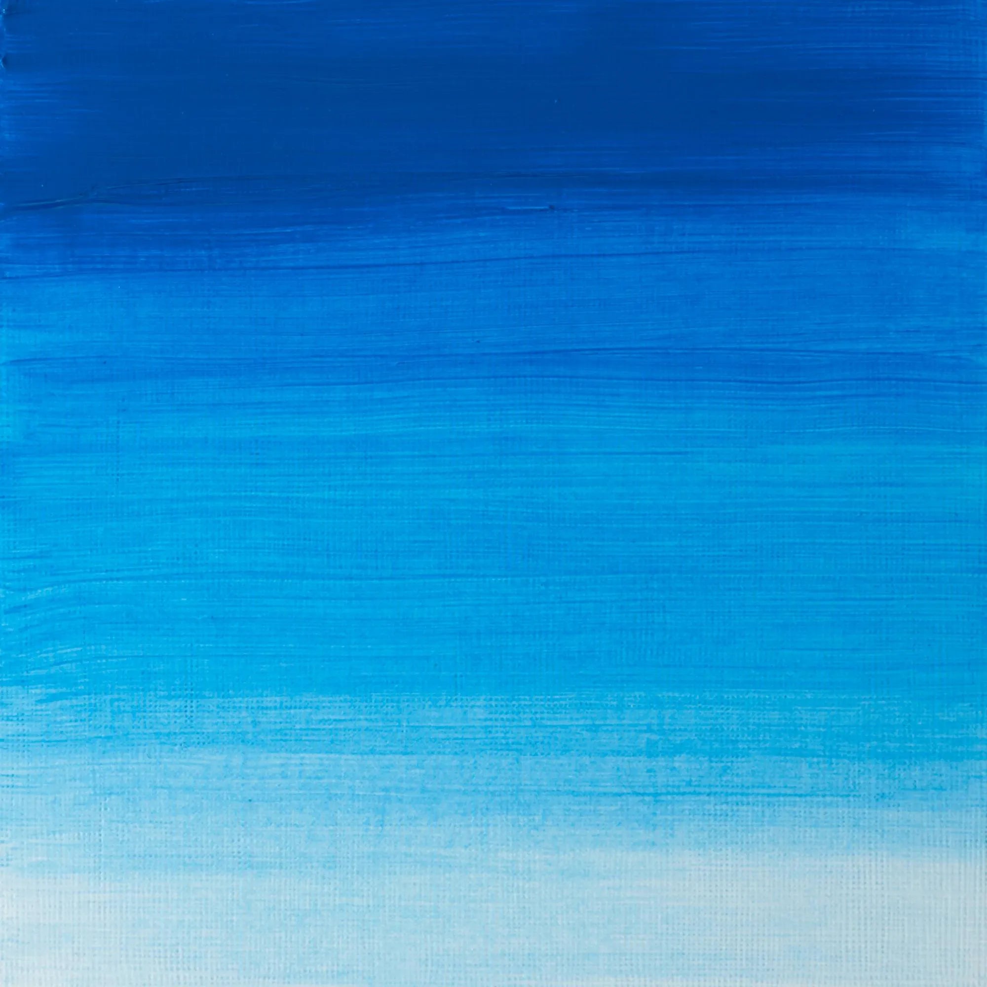 Winsor & Newton Artist's Oil