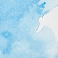 Winsor & Newton Professional Watercolour