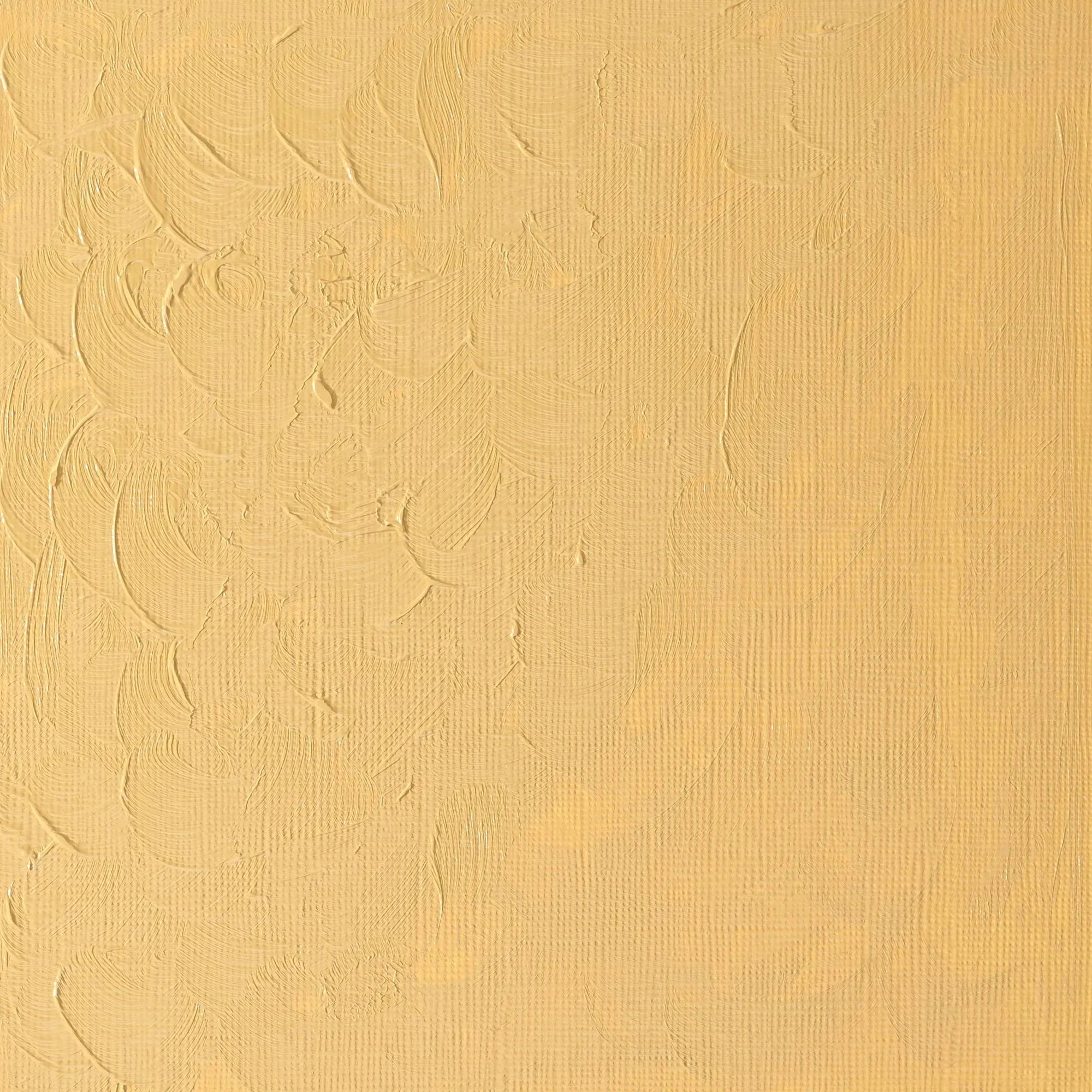Winsor & Newton Winton Oil