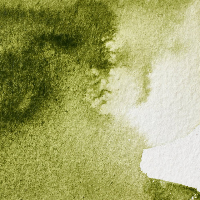 Winsor & Newton Professional Watercolour