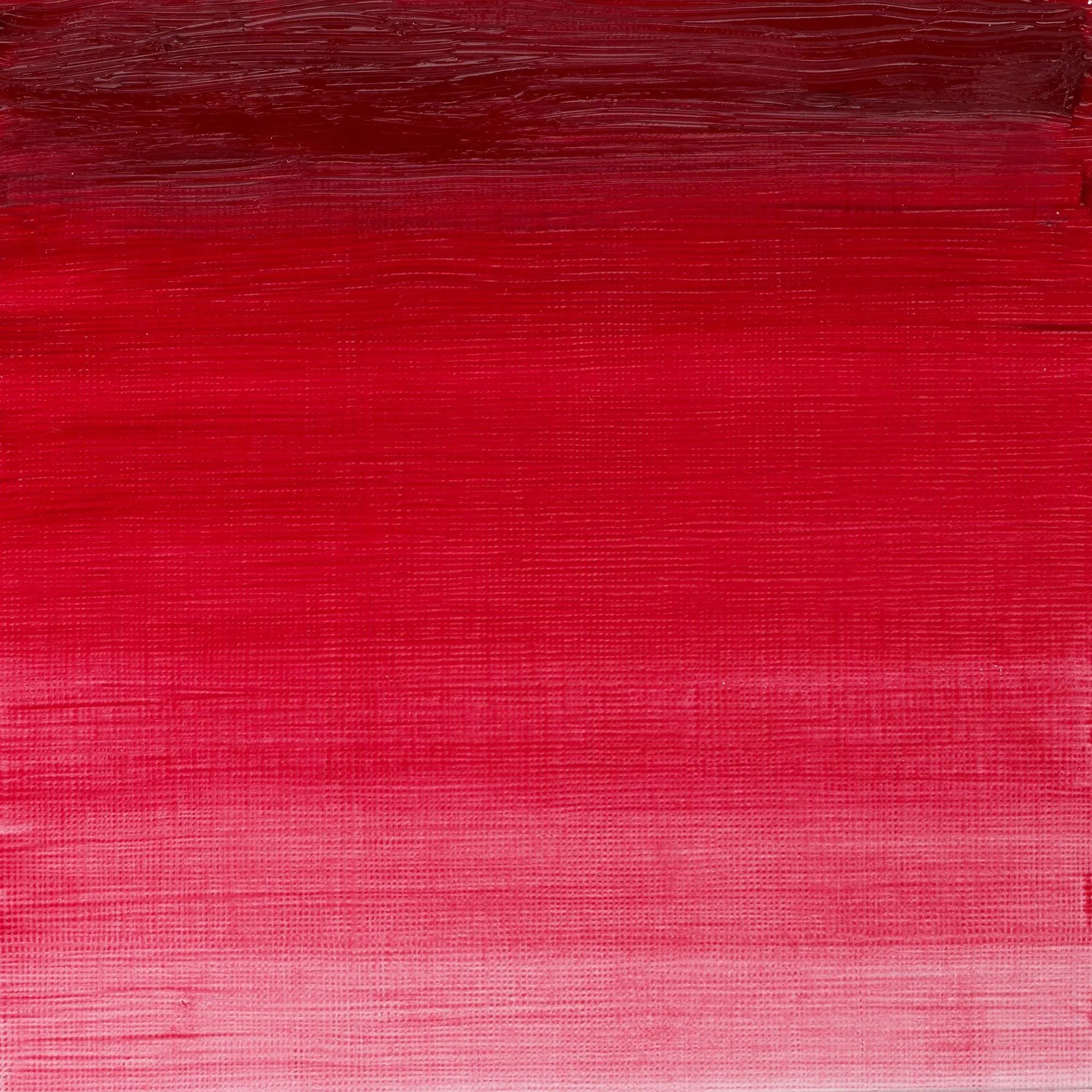 Winsor & Newton Winton Oil