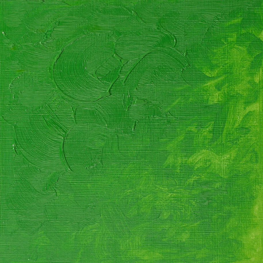 Winsor & Newton Winton Oil